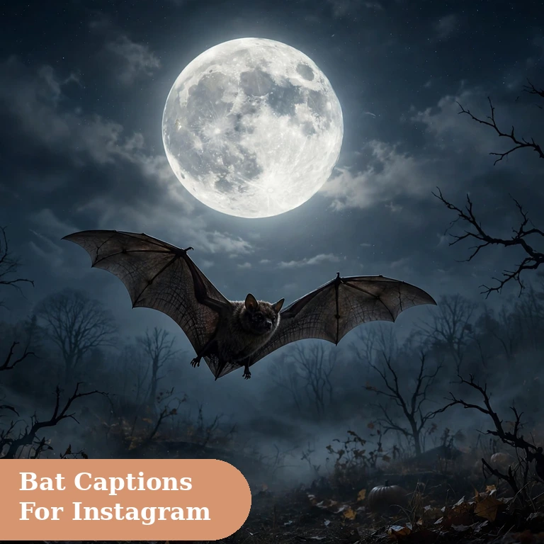 Bat captions for instagram featured image with a flying bat scene under a full moon