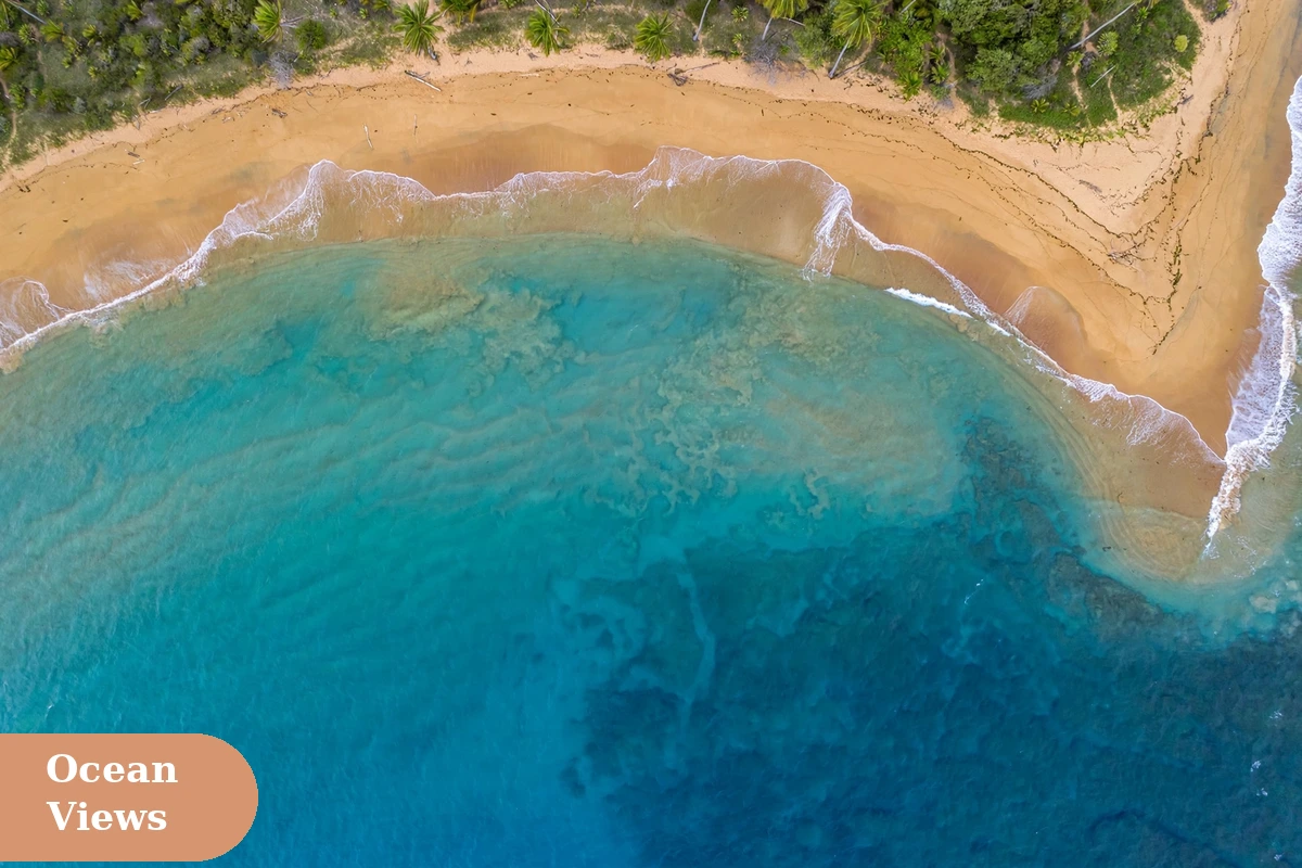 beach captions for instagram with aerial view of a curved shoreline with white sea foam